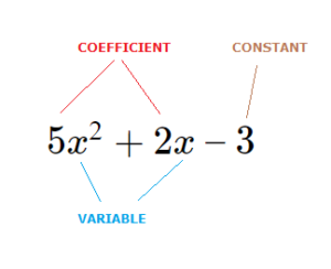 Examples of Polynomial Expressions - LearnerMath.com