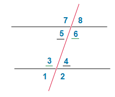 Transversal line crossing 2 parallel lines.