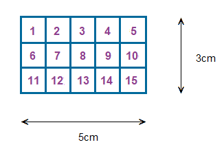 Rectangle giving an introduction to area measure.